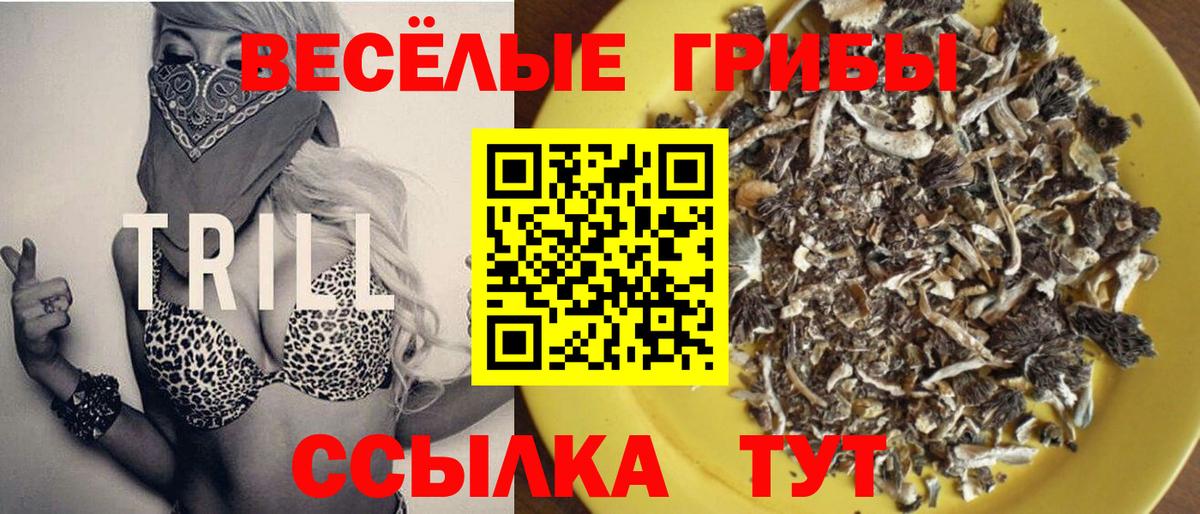 Галлюциногенные грибы ЛСД  Вход с VPN  Галлюциногенные грибы MAGIC MUSHROOMS  Георгиевск 