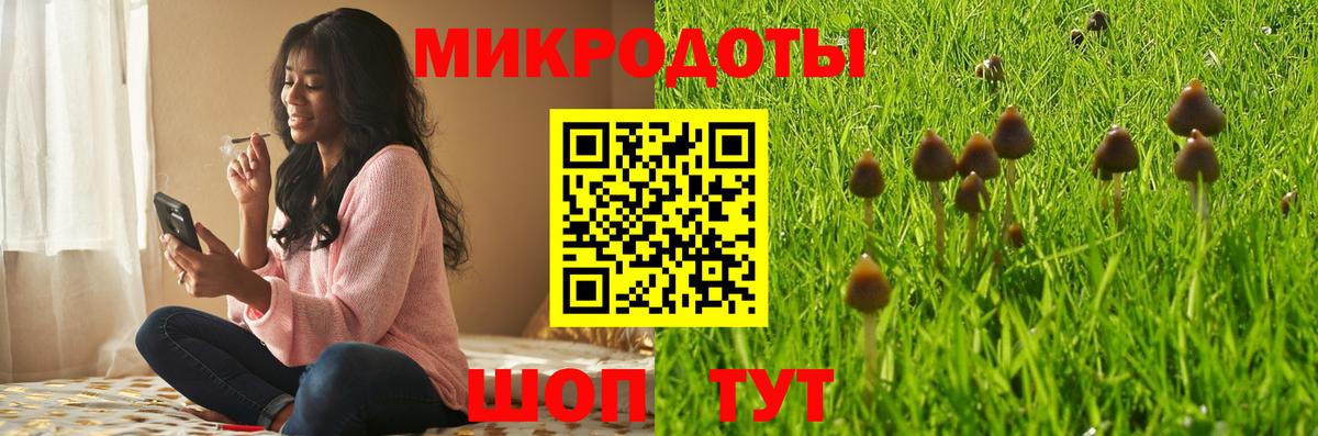 Галлюциногенные грибы ЛСД Георгиевск